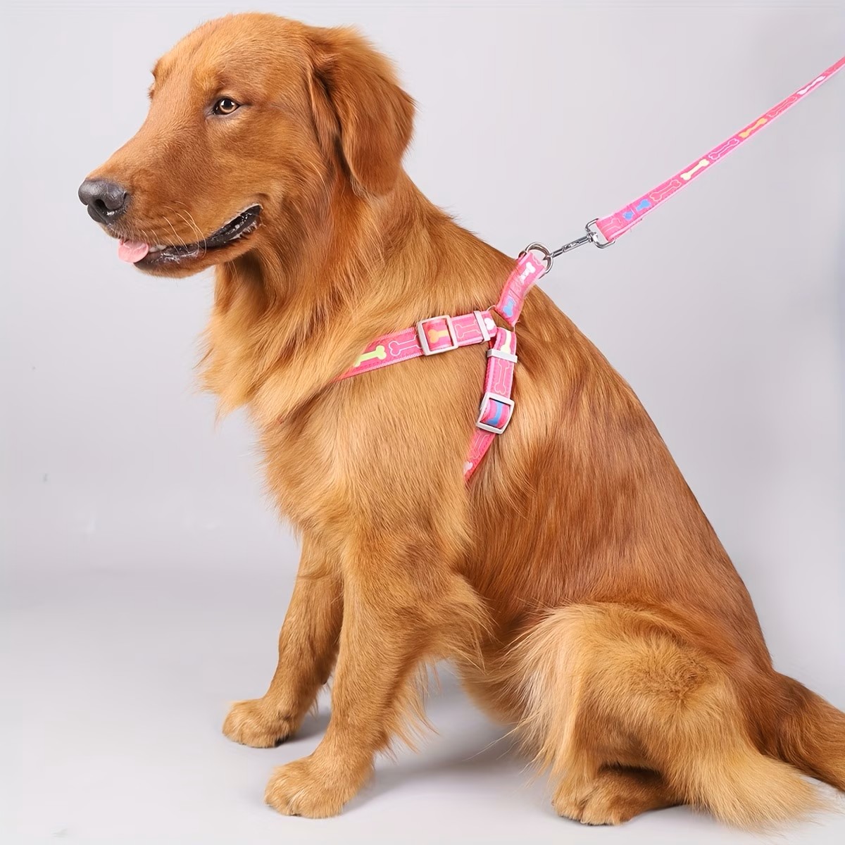 調節可能な犬用ハーネス、クイックリリースバックル付き、耐久性 - D Ring Strap のレビューと価格