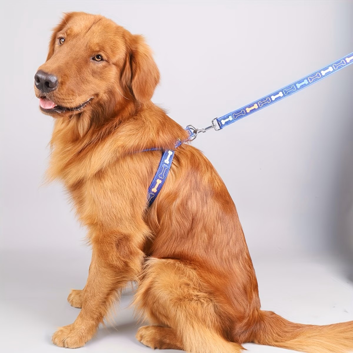 調節可能な犬用ハーネス、クイックリリースバックル付き、耐久性 - D Ring Strap のレビューと価格